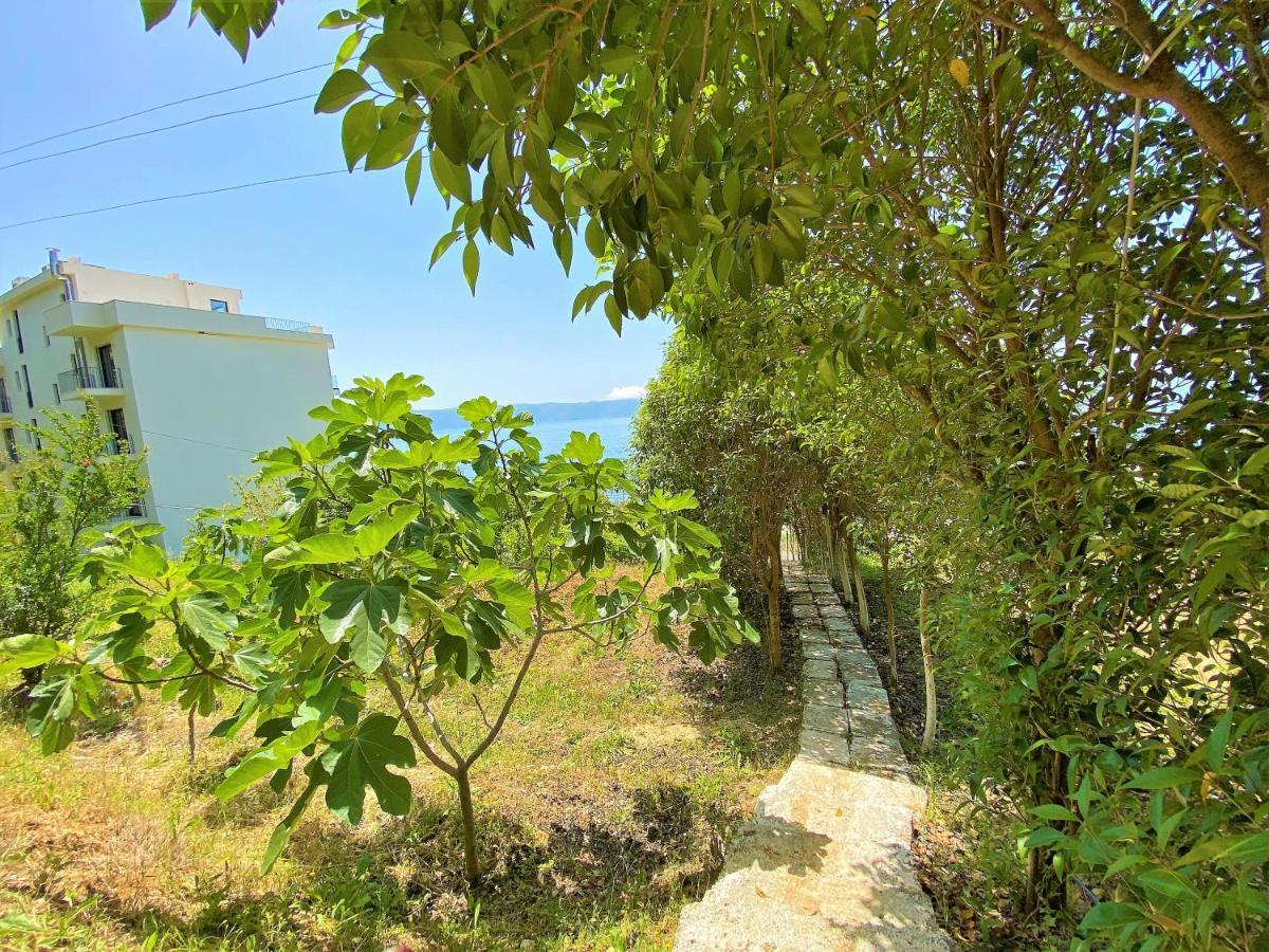 Ramo's Beachside Retreat - Cozy 2 Bedroom Holiday home Vlore