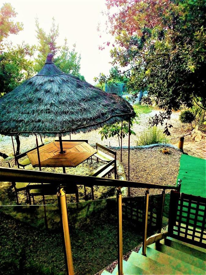 Ramo's Beachside Retreat - Cozy 2 Bedroom *